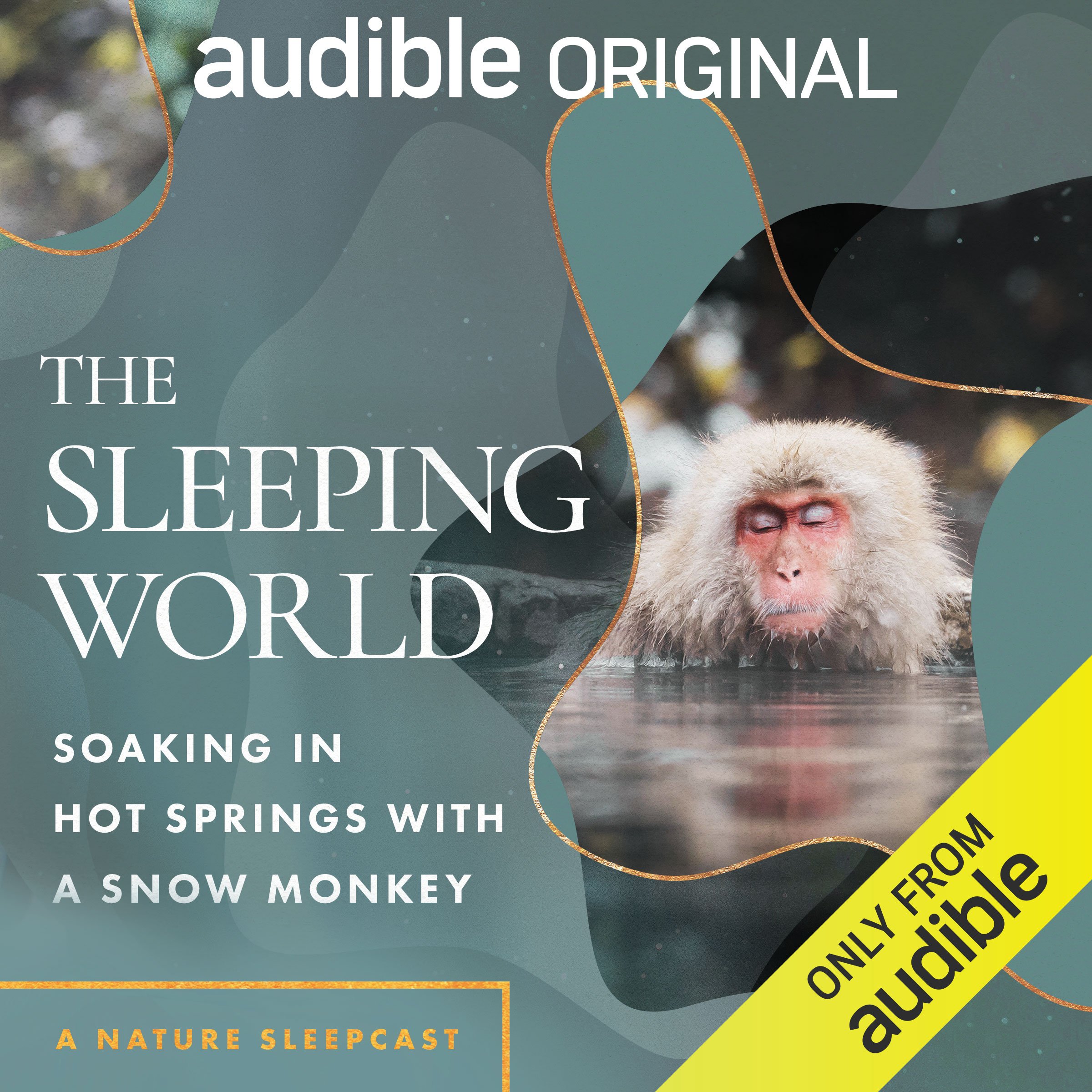 OR_ORIG_003479_SnowMonkey_SleepingWorld.jpg