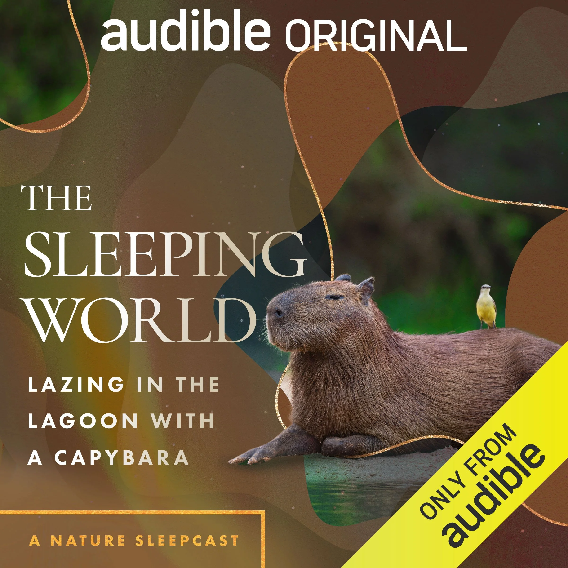 OR_ORIG_003477_Capybara_SleepingWorld.jpg