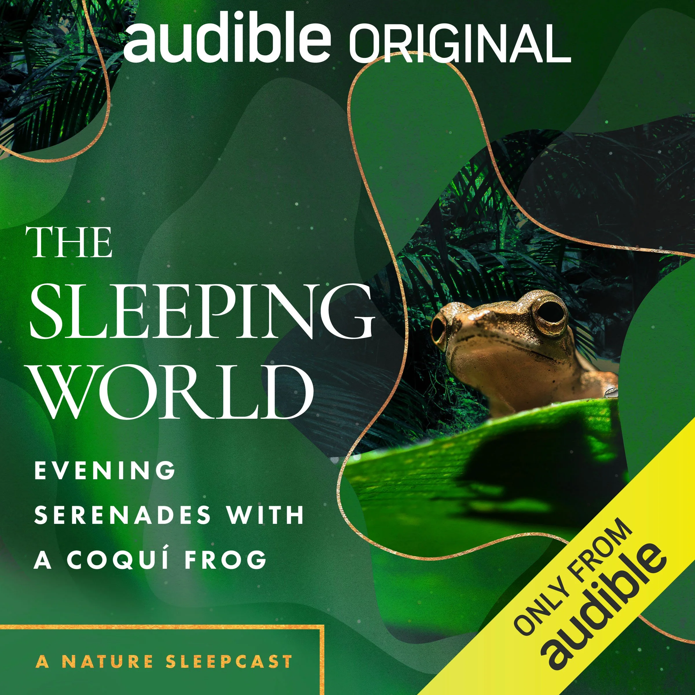 OR_ORIG_003472_Frog_SleepingWorld.jpg