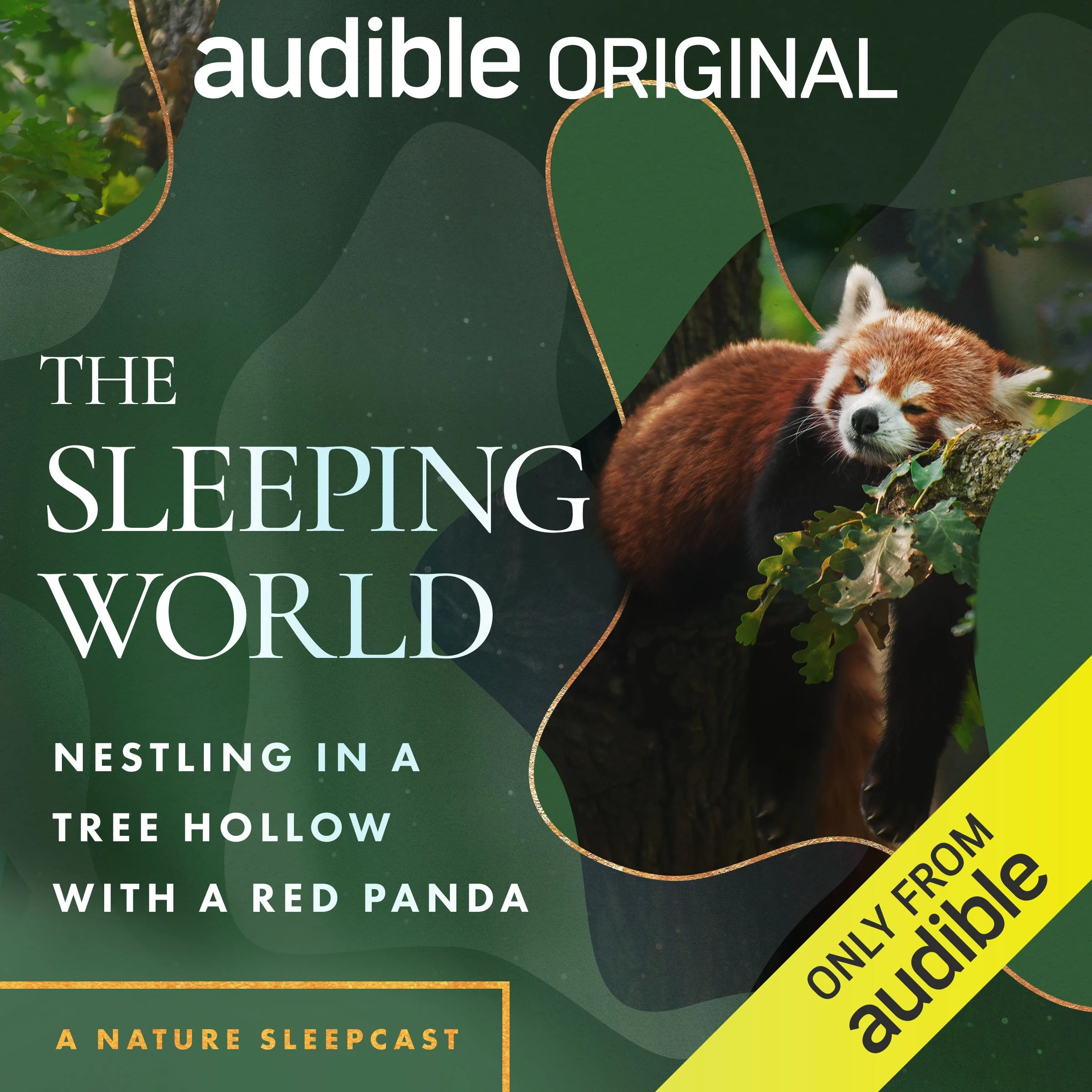 OR_ORIG_003474_RedPanda_SleepingWorld.jpg