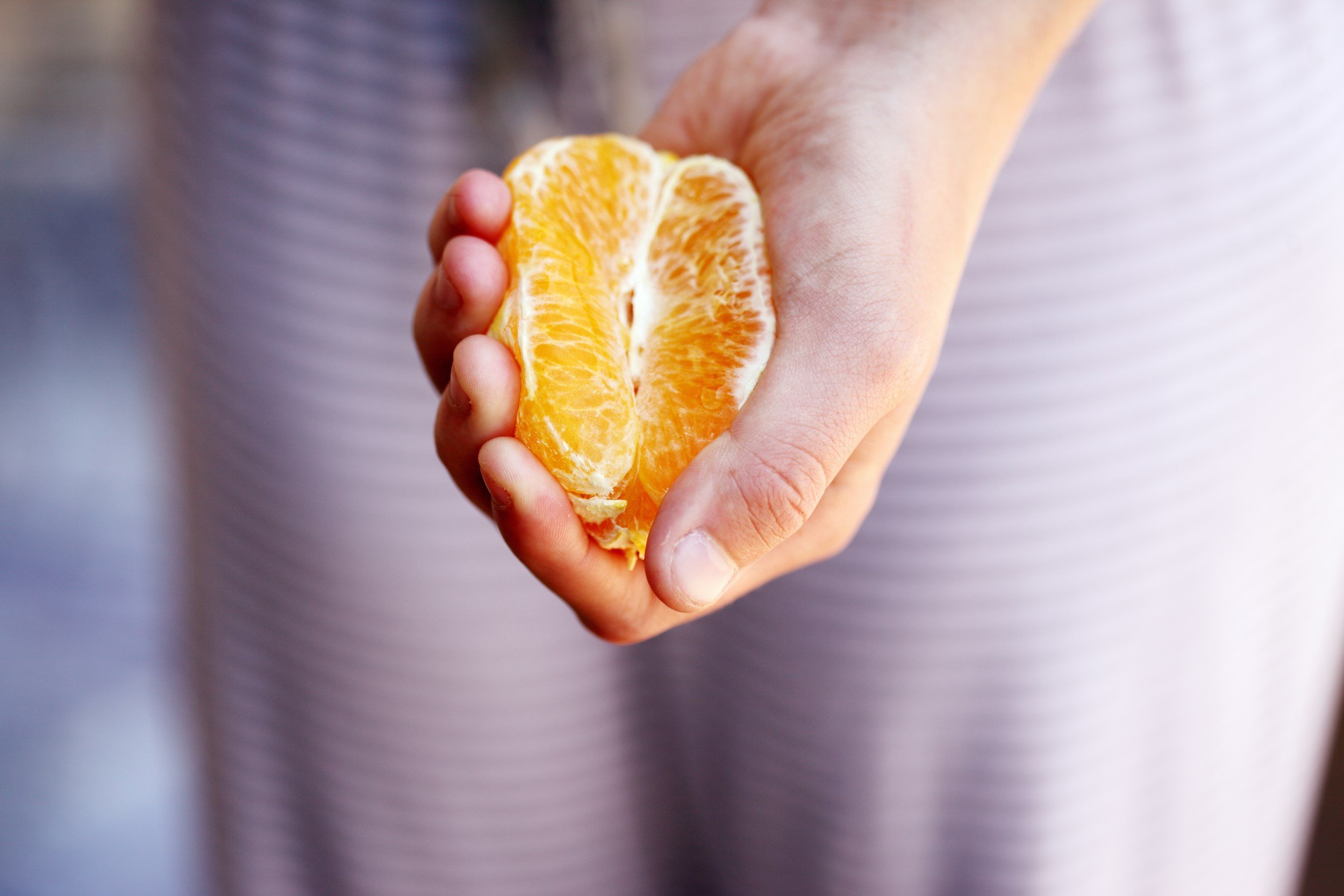 Senses: The Foundation of the Senior Dining Experience 