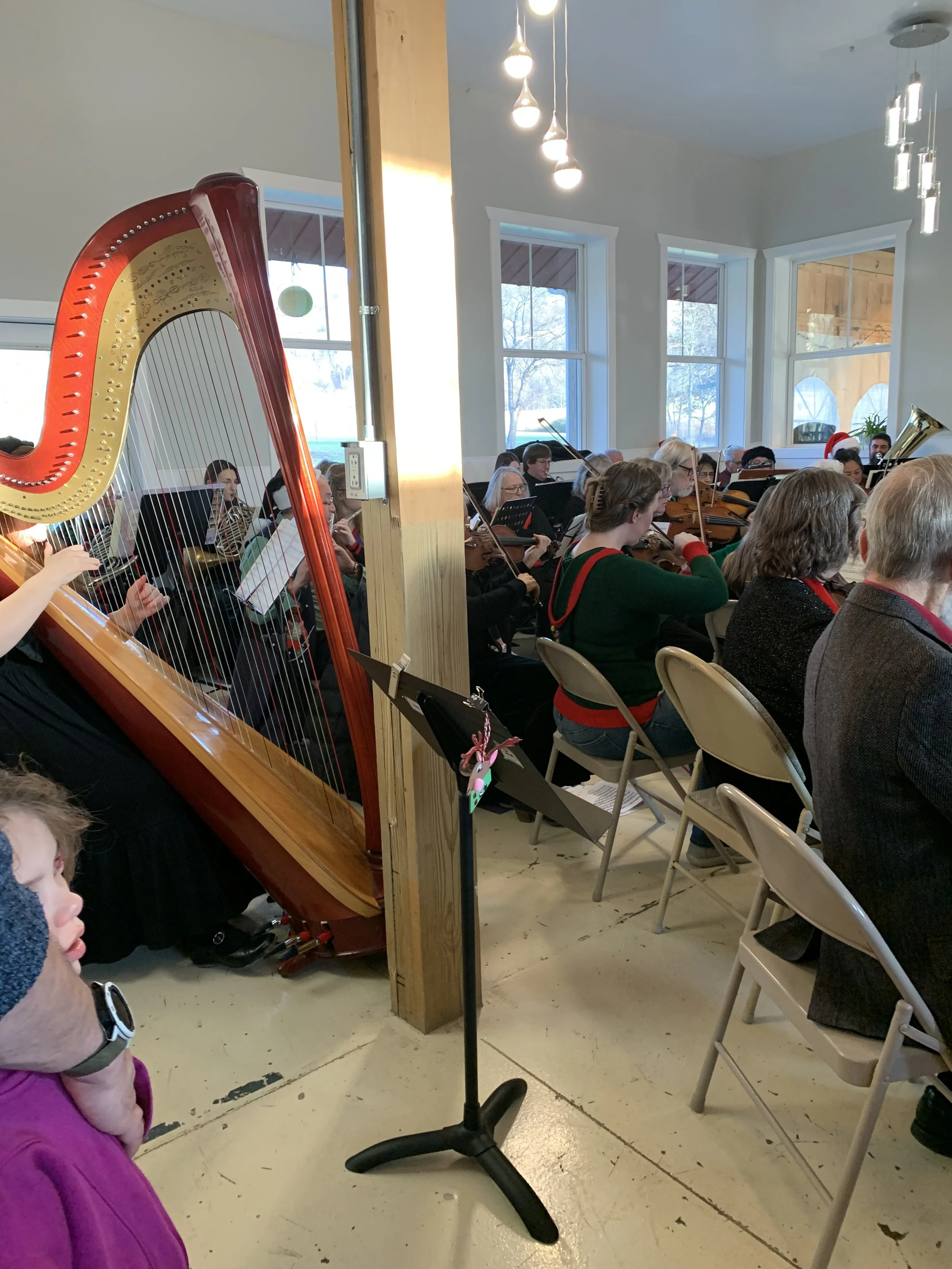 Charles Washington Symphony -Live