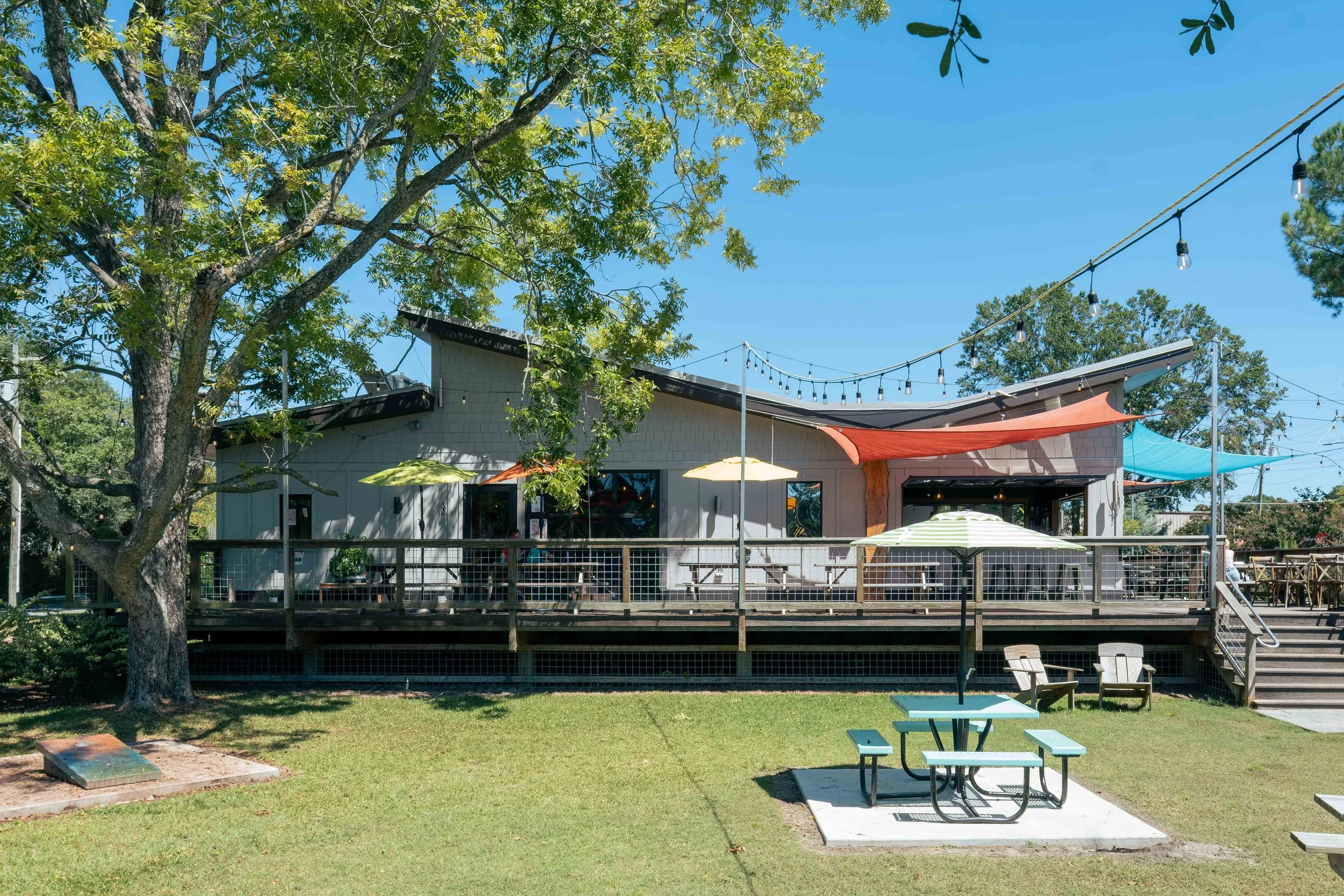 Dram Tree_SMALL-4.jpg