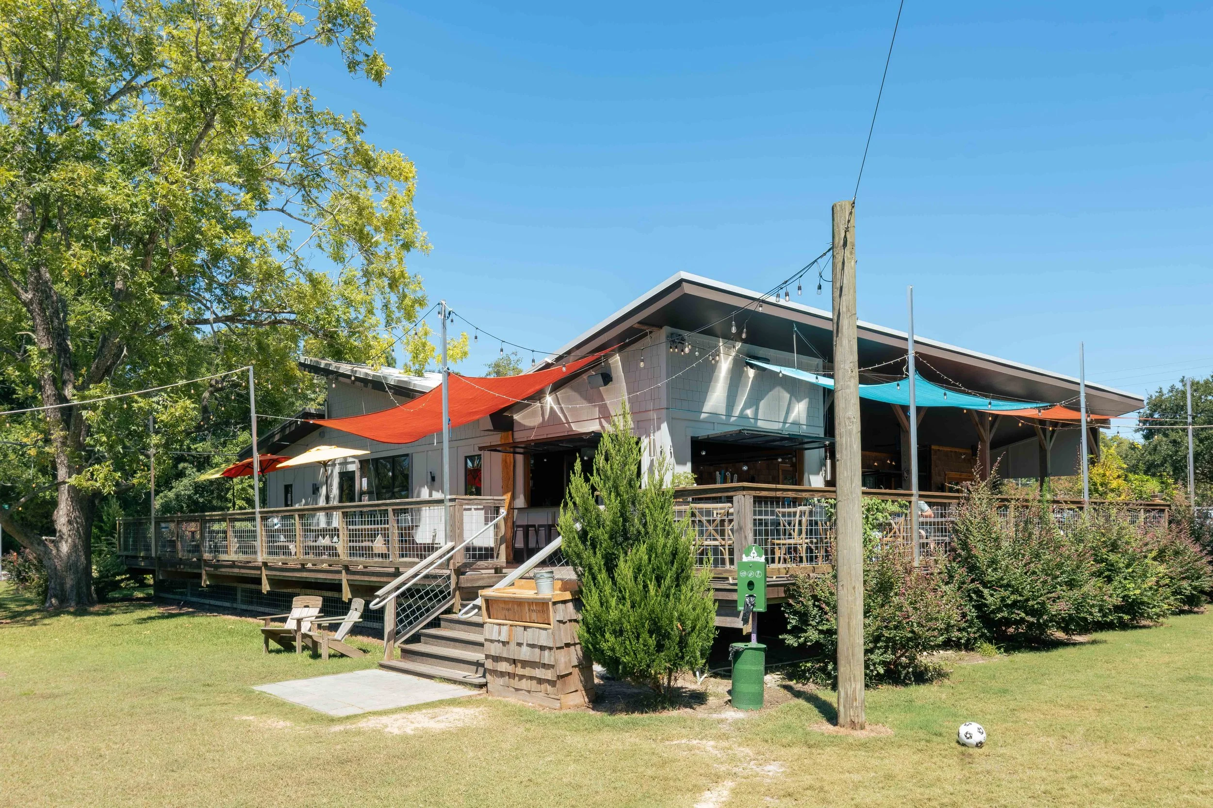 Dram Tree_SMALL-3.jpg