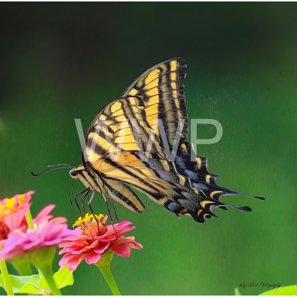 image_original_f92e2f91933a2c0ff9024a8cb9b3c91e.png