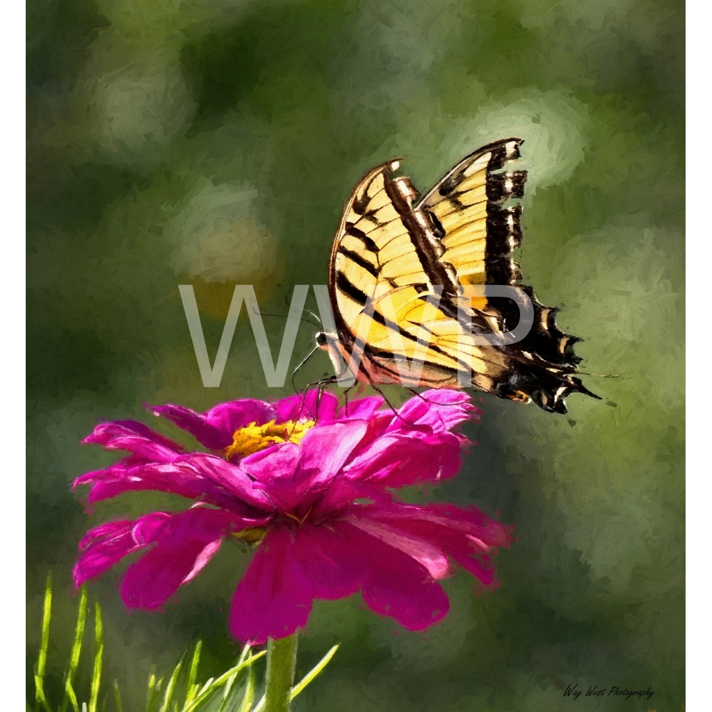 image_original_f92e2f91933a2c0ff9024a8cb9b3c91e.png