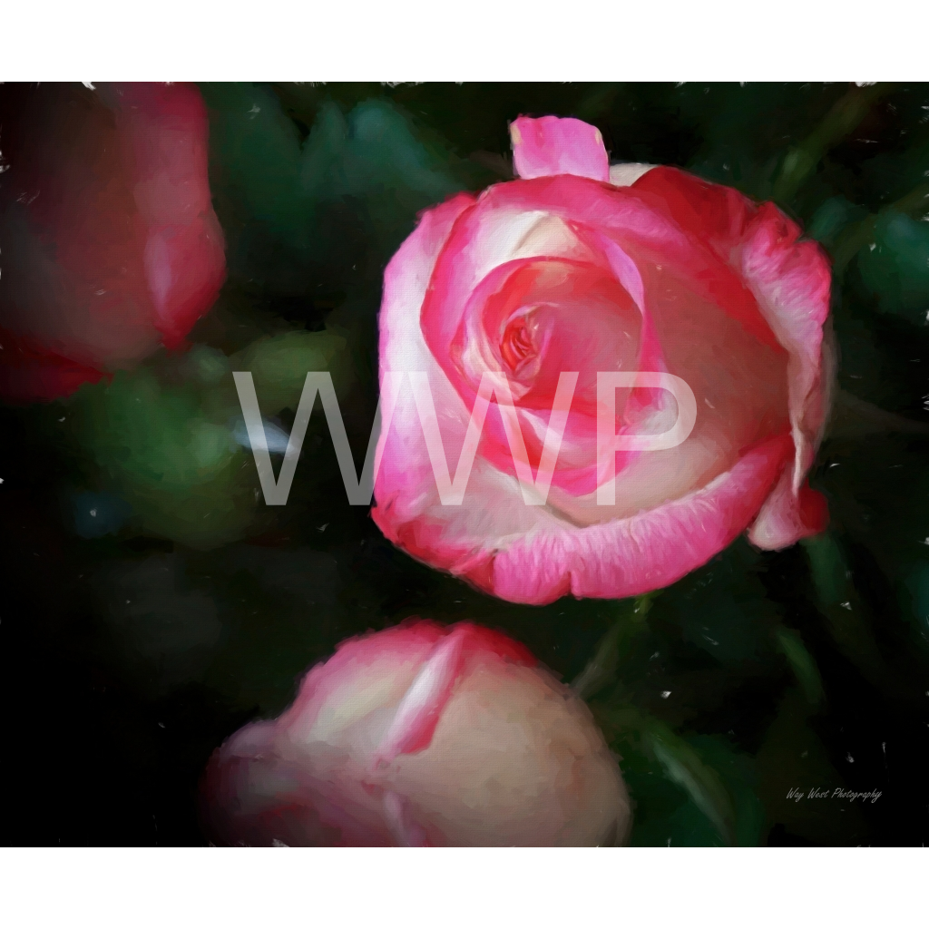 image_original_f92e2f91933a2c0ff9024a8cb9b3c91e.png
