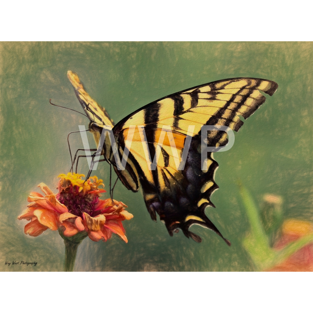 image_original_f92e2f91933a2c0ff9024a8cb9b3c91e.png