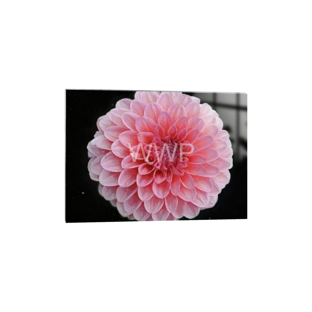 ptq_13_7_0_622_5704_4074_0_false_ffffff_0_0_f92e2f91933a2c0ff9024a8cb9b3c91e.png