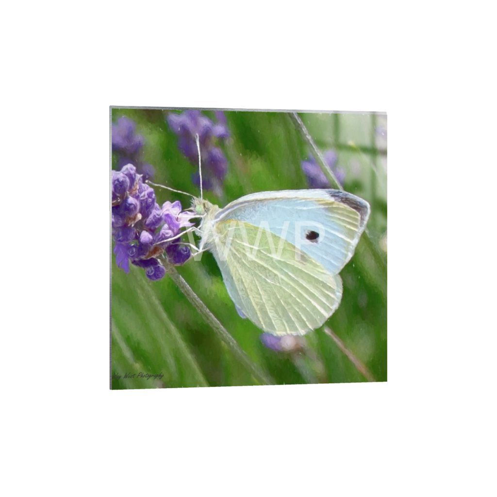 ptq_13_0_304_0_10391_10391_0_false_ffffff_0_0_f92e2f91933a2c0ff9024a8cb9b3c91e.png