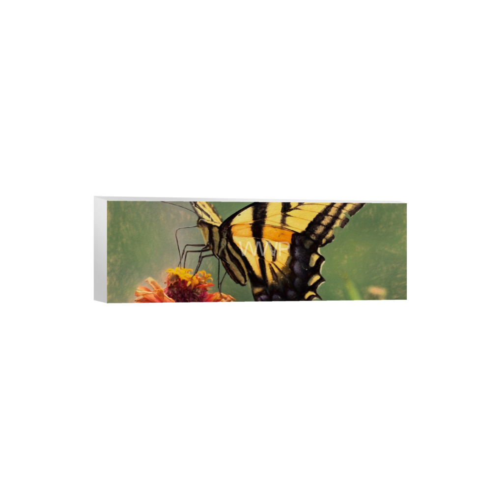 ptq_7_2_0_2014_10000_3333_0_false_ffffff_0_0_f92e2f91933a2c0ff9024a8cb9b3c91e.png