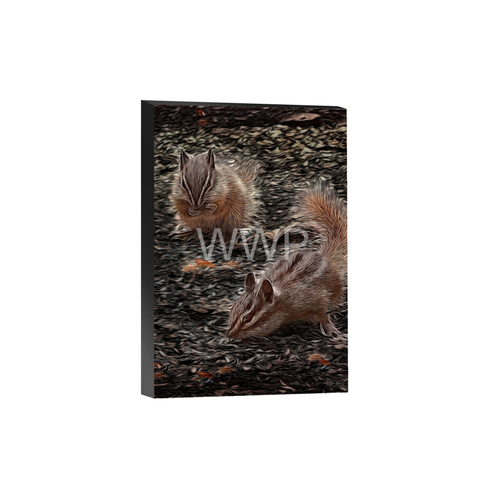 ptq_32_3_795_0_5409_8114_0_false_ffffff_0_0_f92e2f91933a2c0ff9024a8cb9b3c91e.png