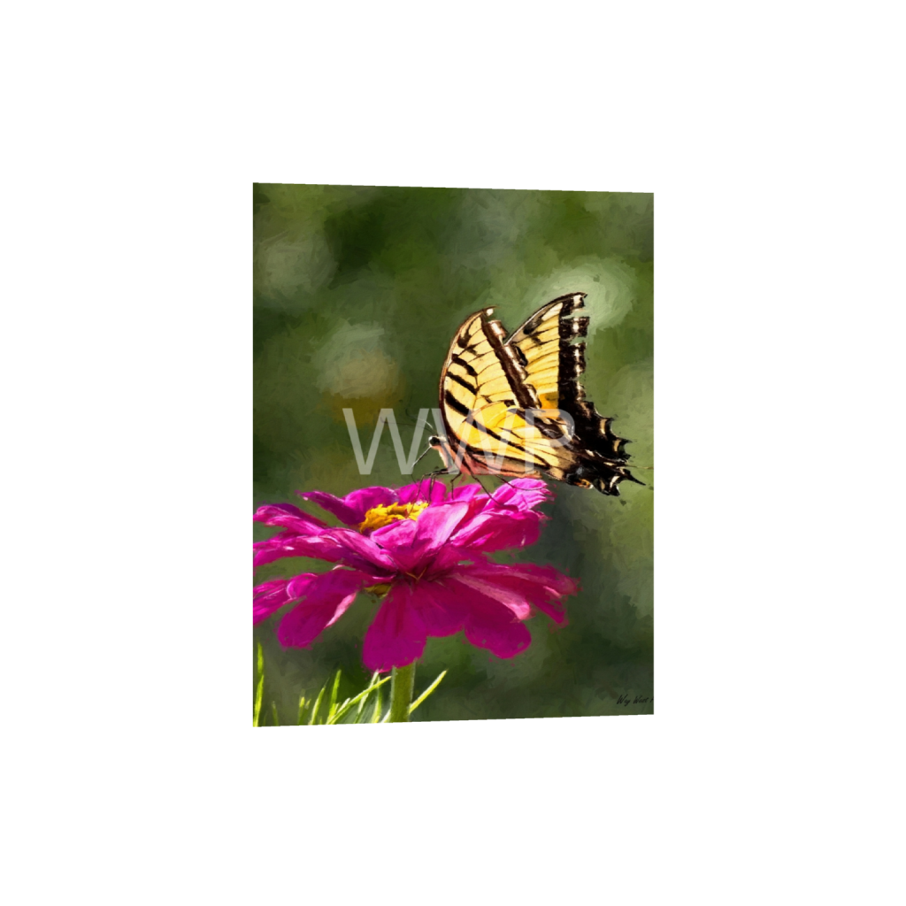 ptq_34_5_716_0_6067_8090_0_false_ffffff_0_0_f92e2f91933a2c0ff9024a8cb9b3c91e.png