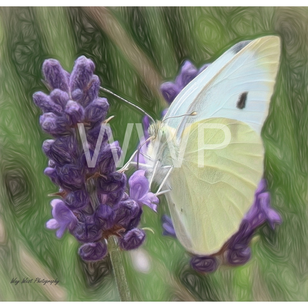 image_original_f92e2f91933a2c0ff9024a8cb9b3c91e.png