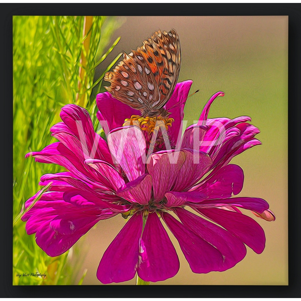 image_original_f92e2f91933a2c0ff9024a8cb9b3c91e.png