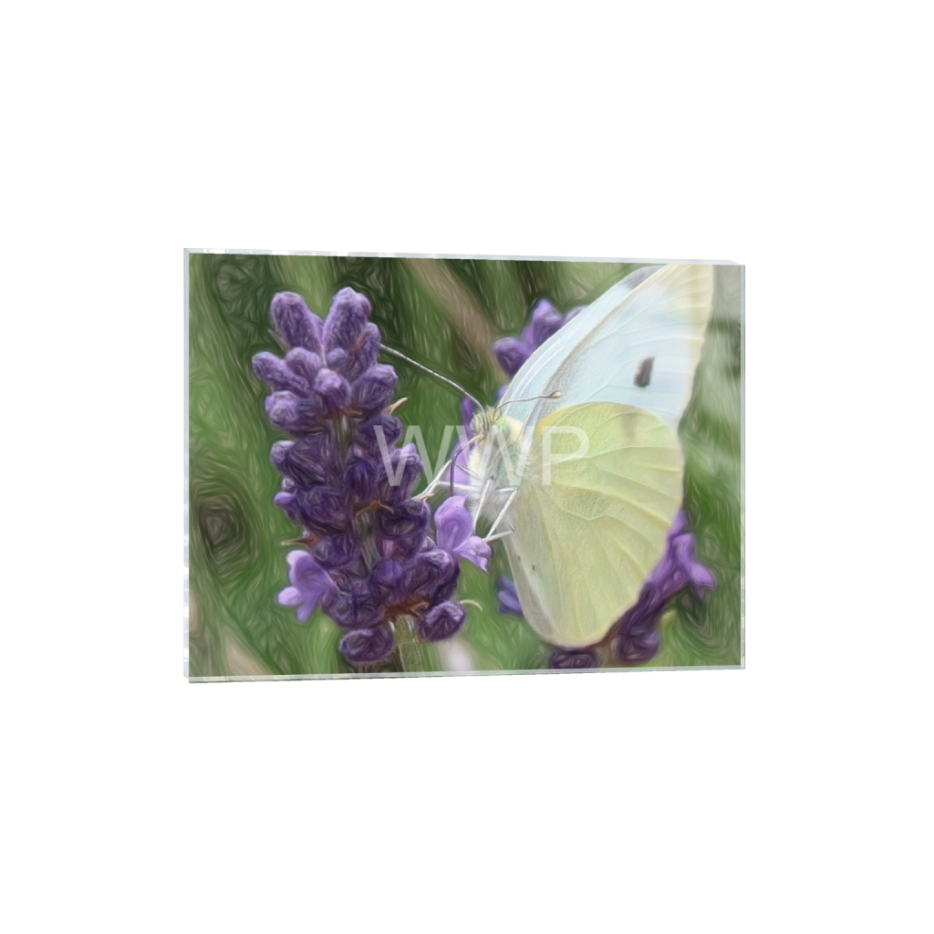 ptq_17_5_0_1201_11500_8625_0_false_ffffff_0_0_f92e2f91933a2c0ff9024a8cb9b3c91e.png