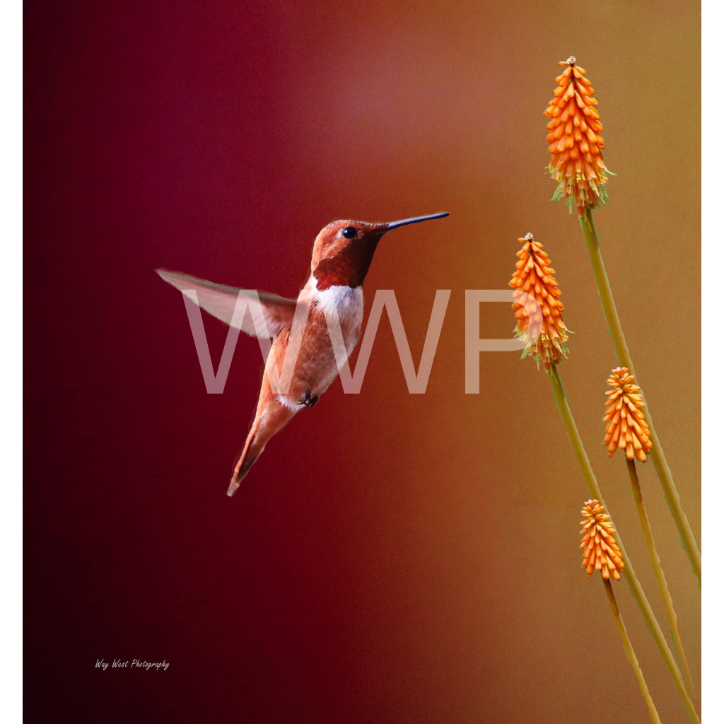 image_original_f92e2f91933a2c0ff9024a8cb9b3c91e.png