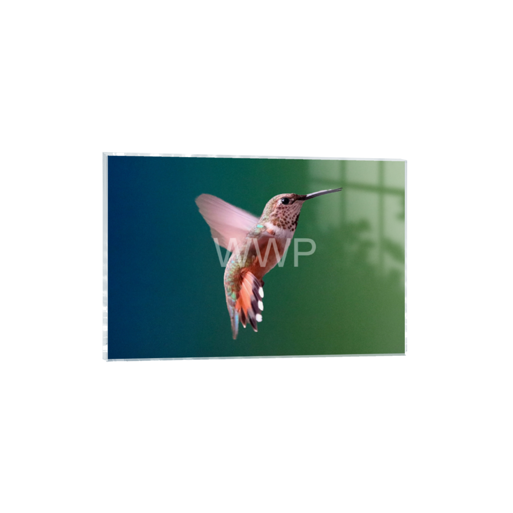 ptq_17_3_0_1166_7200_4800_0_false_ffffff_0_0_f92e2f91933a2c0ff9024a8cb9b3c91e.png