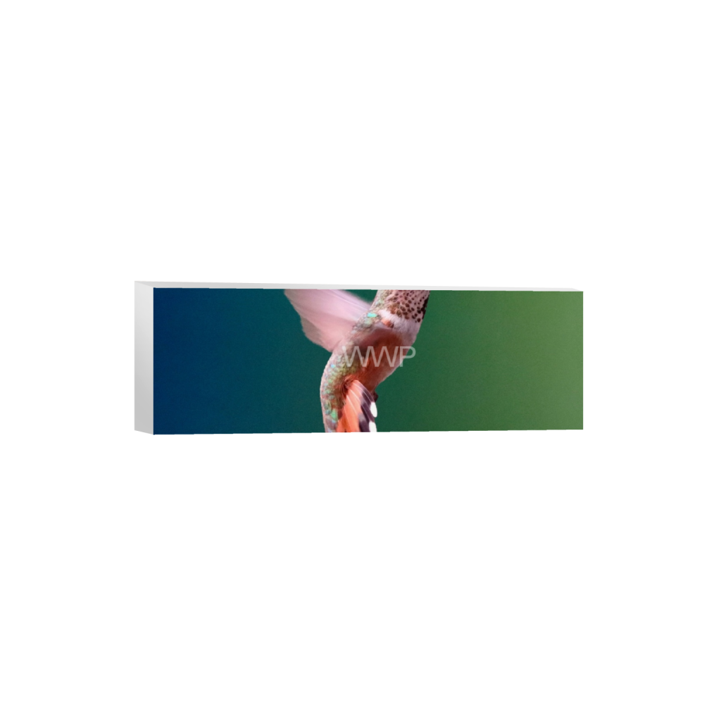 ptq_7_2_0_2366_7200_2400_0_false_ffffff_0_0_f92e2f91933a2c0ff9024a8cb9b3c91e.png
