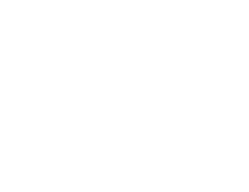 SOLO on Chestnut