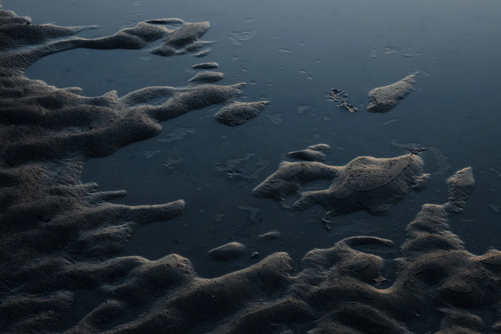 tide-pools-III.jpg