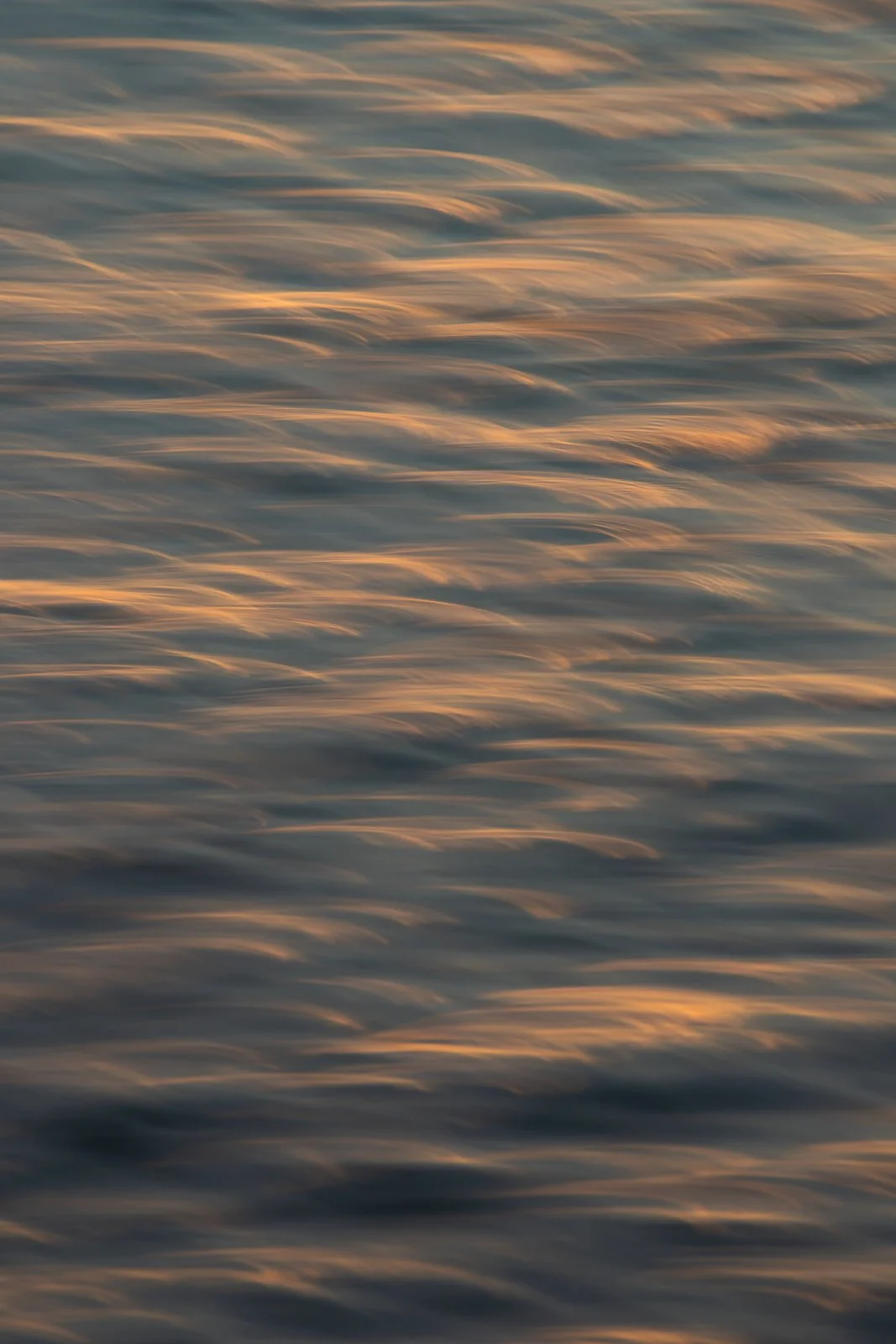 feathers-of-light.jpg