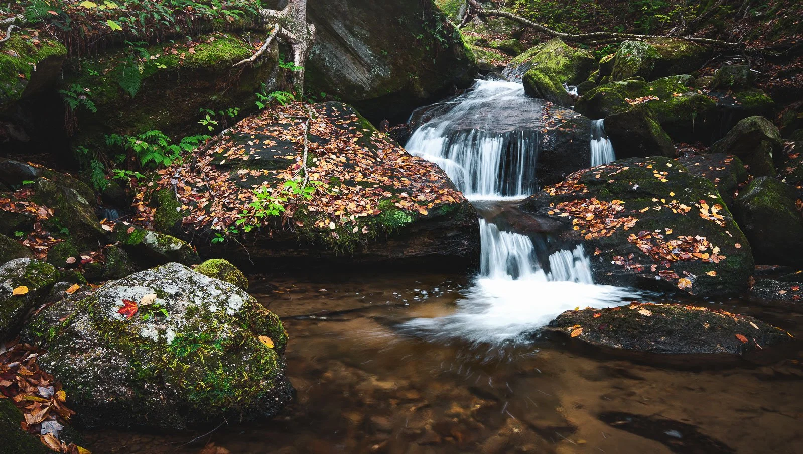 Bent Run Falls Warren Kinzua