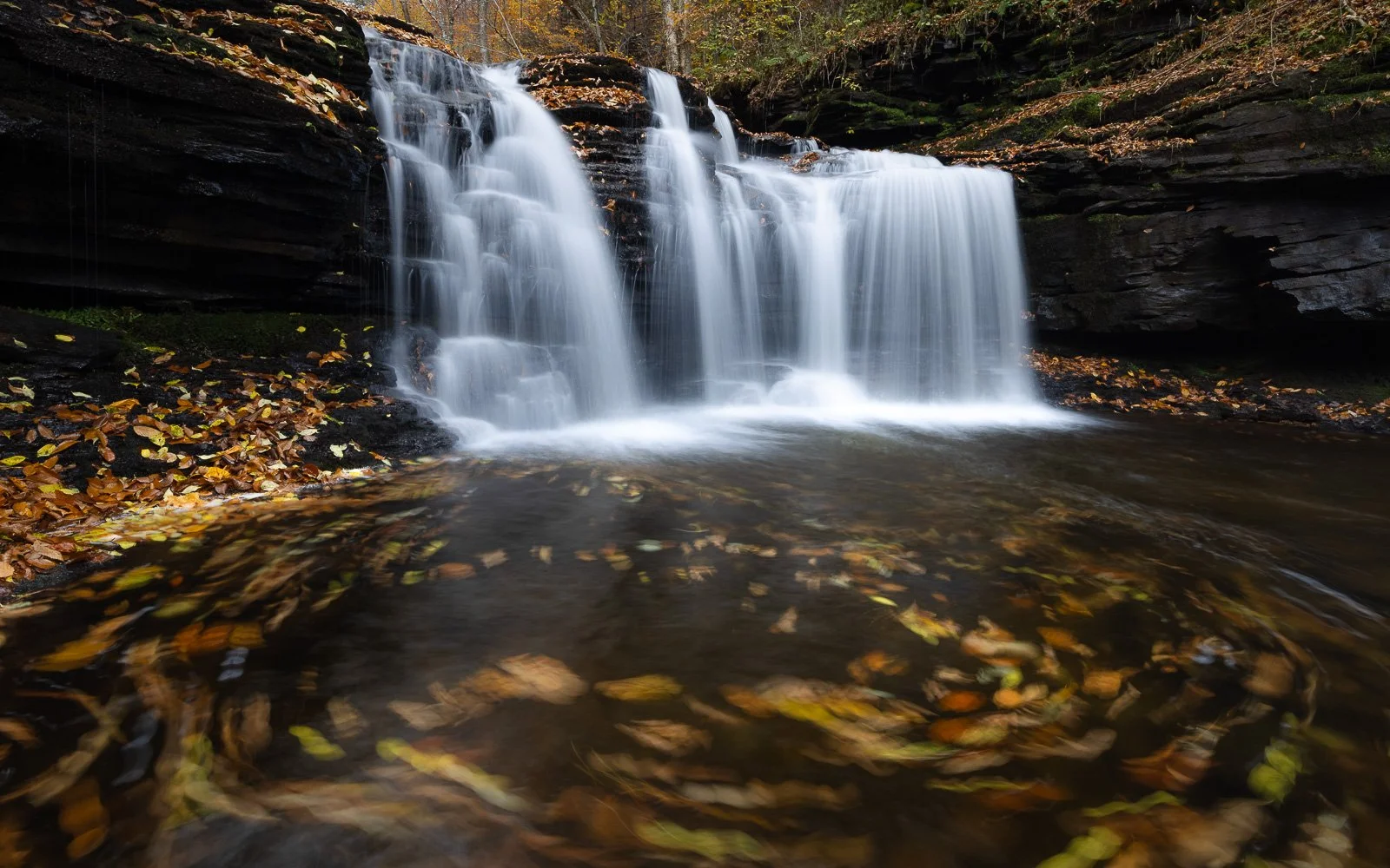 waterfall Rickett's Glenn state park Pennsylvania
