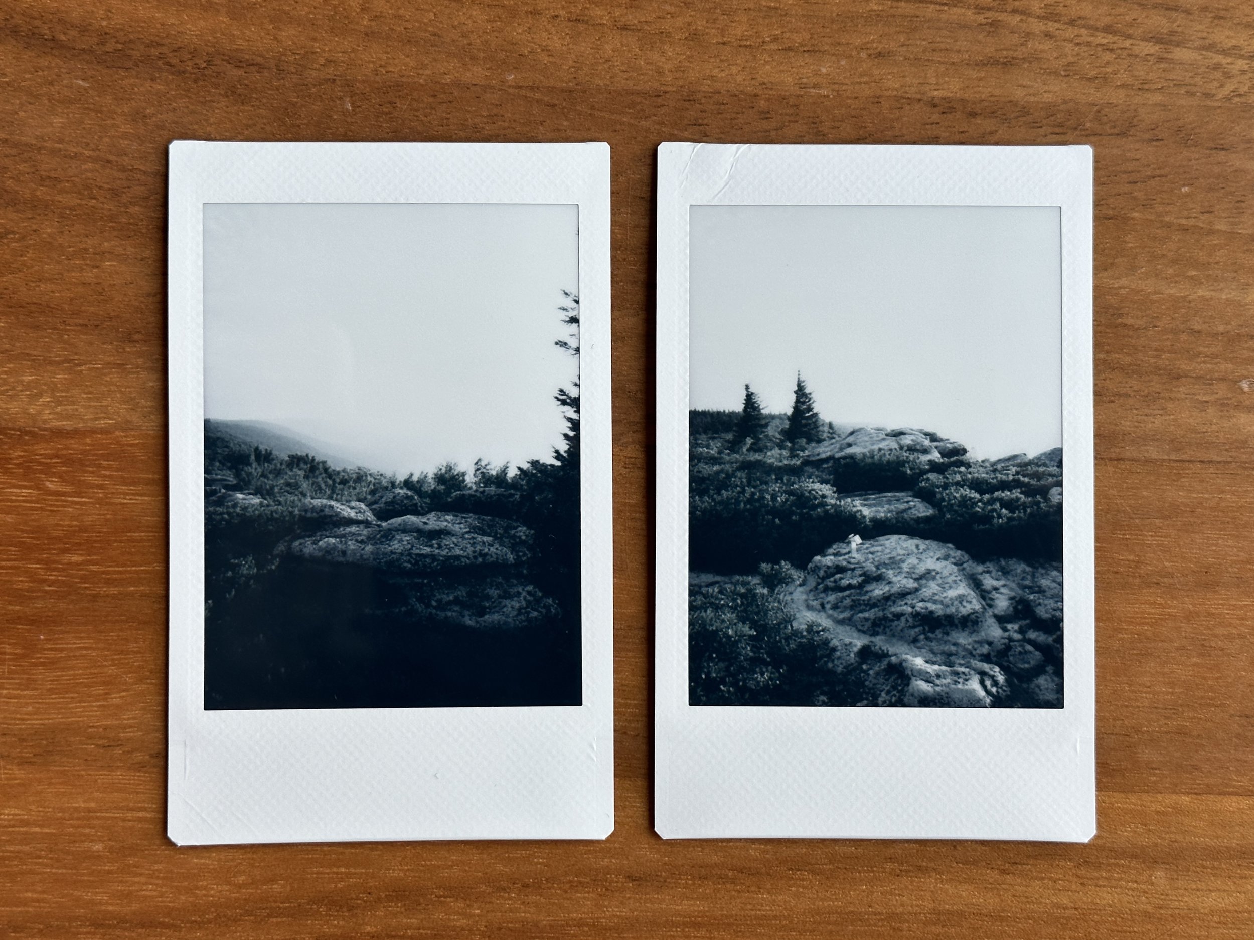 (Various images from Dolly Sods Wilderness area...)