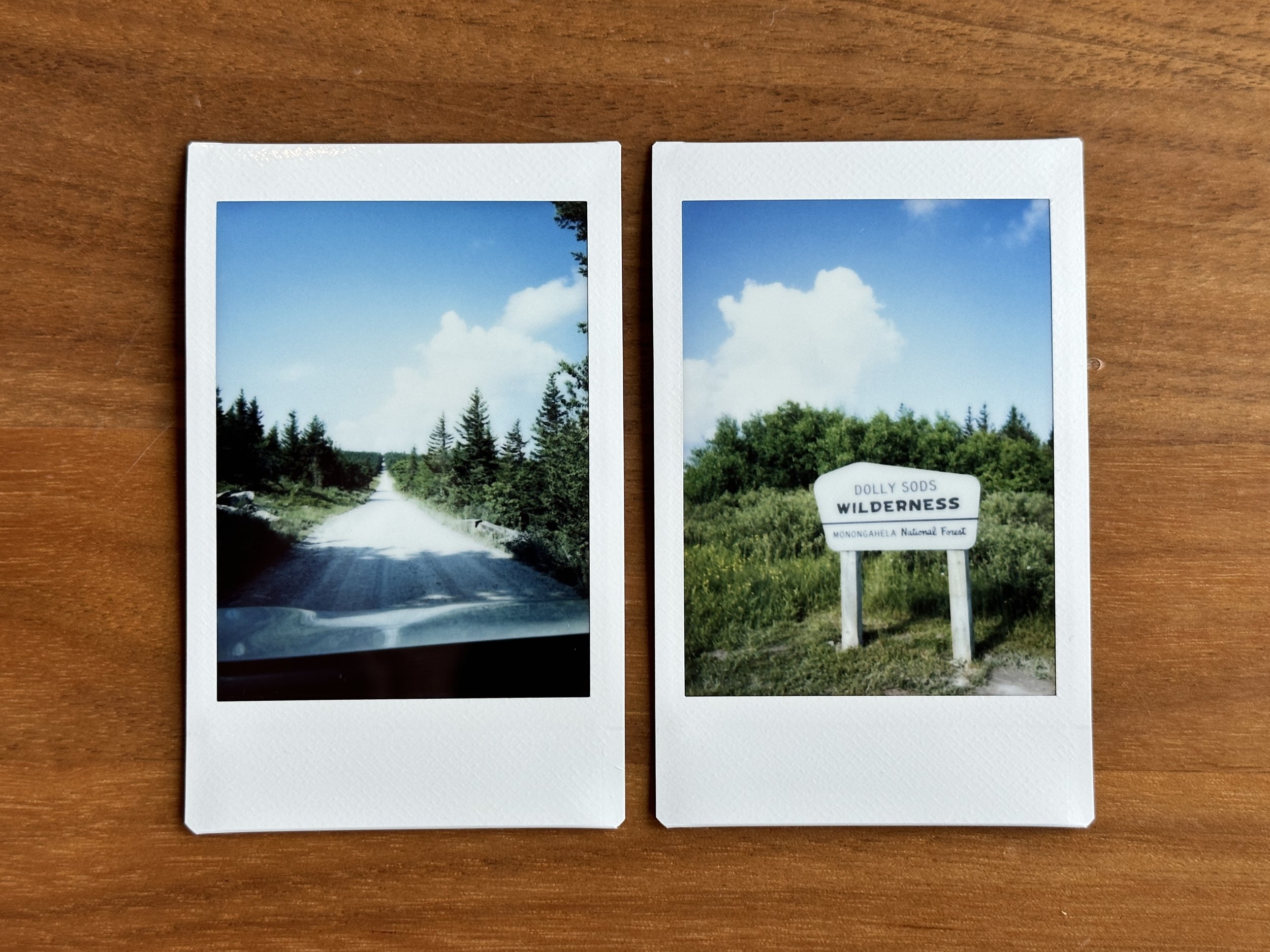 (More images from Dolly Sods Wilderness area...)