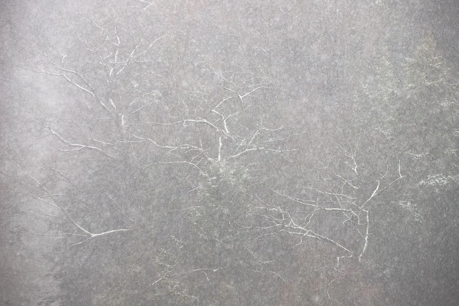 flurries.jpg