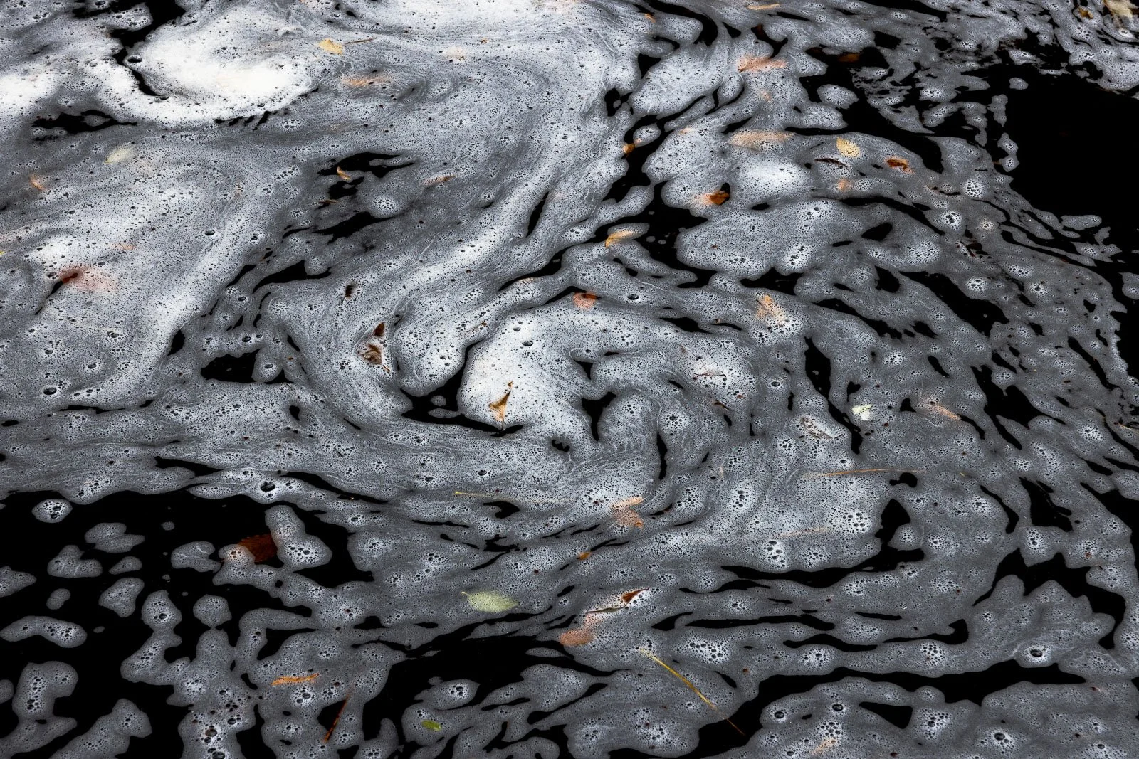 strange-arrangements-II.jpg