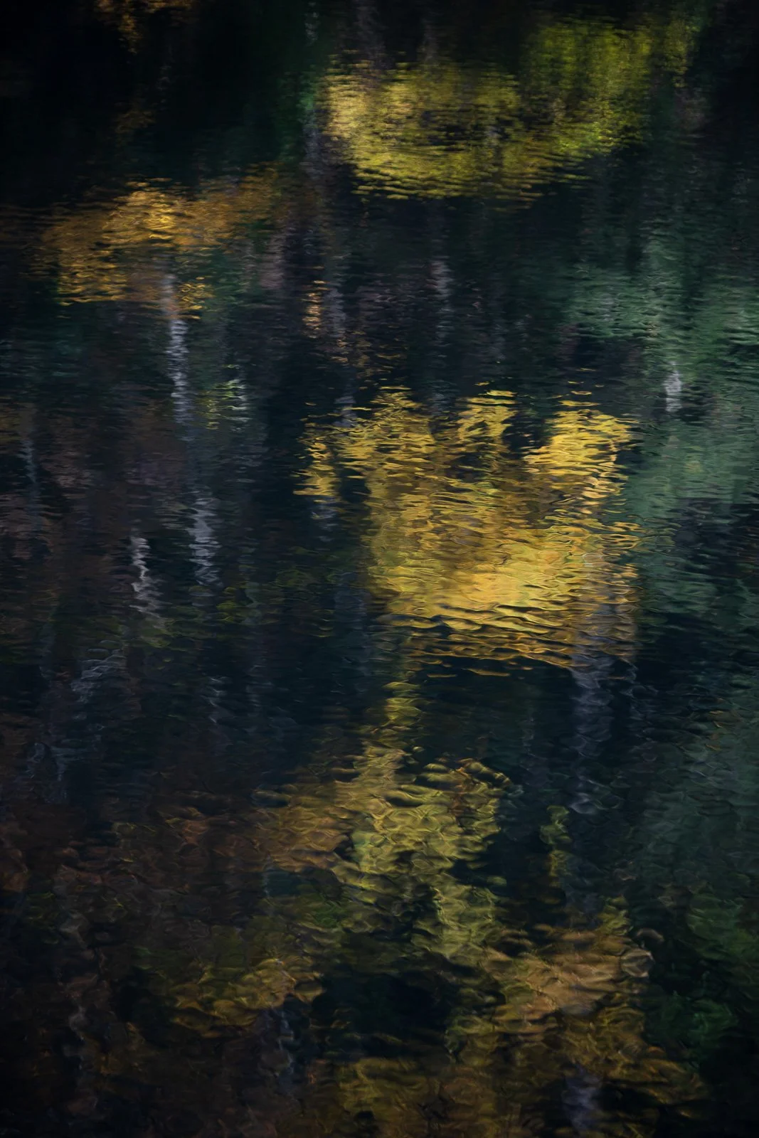 reflections-of-fall-II.jpg