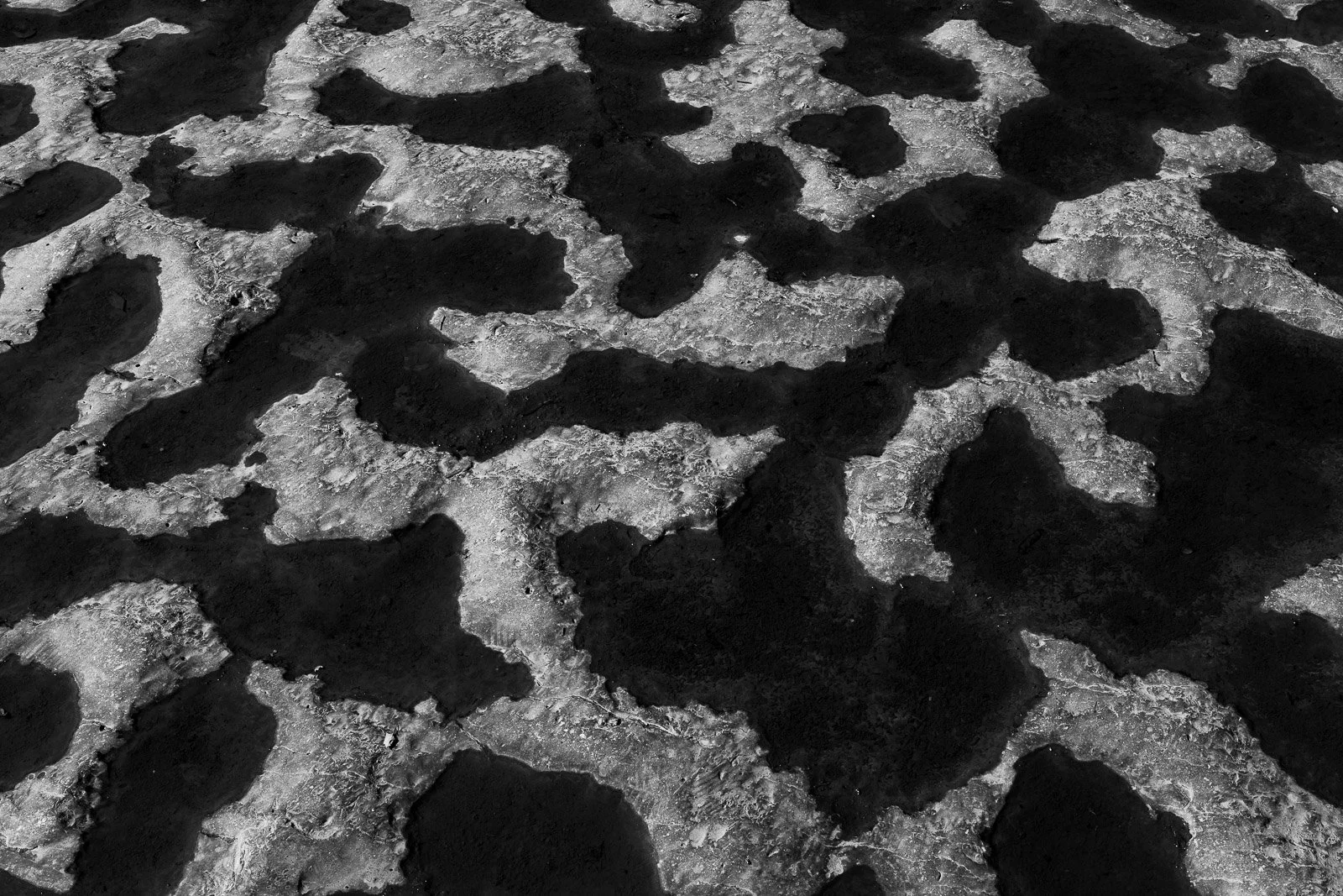 the-scars-of-time.jpg