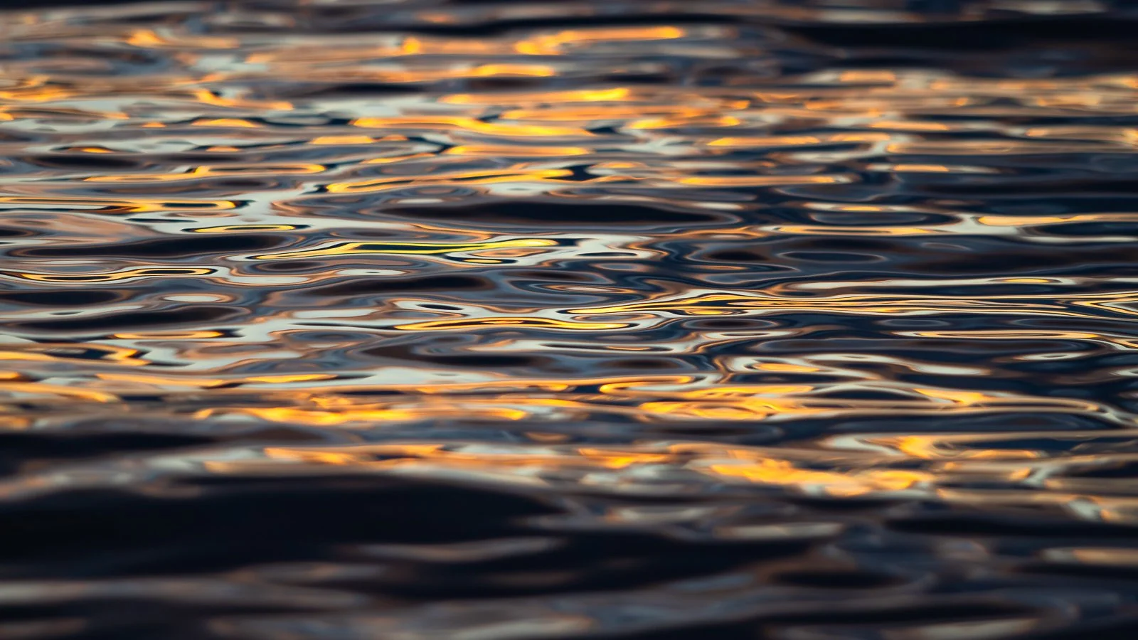 liquid-light-III.jpg