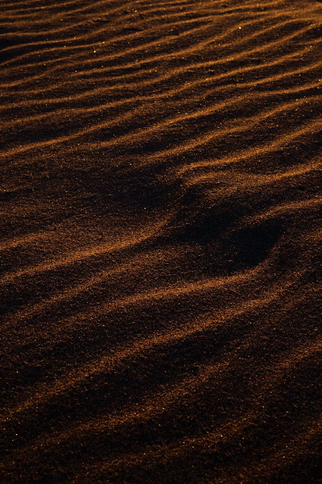 ripples-in-time-II.jpg