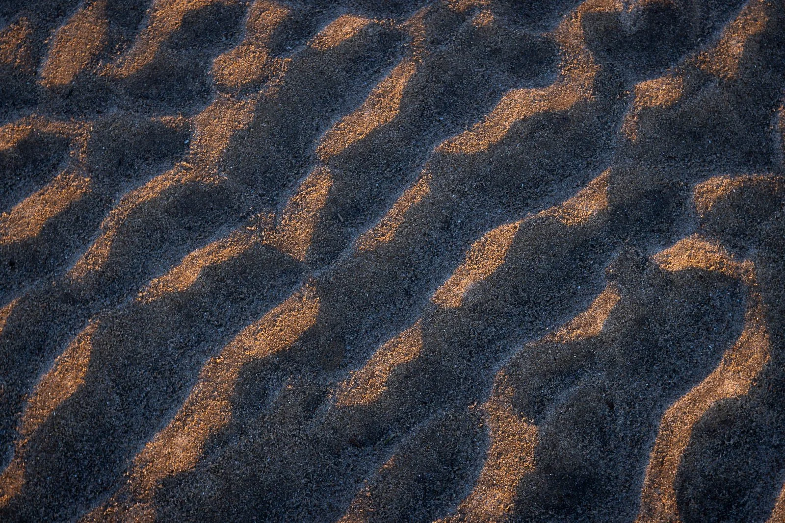 patterns-of-time-IV.jpg