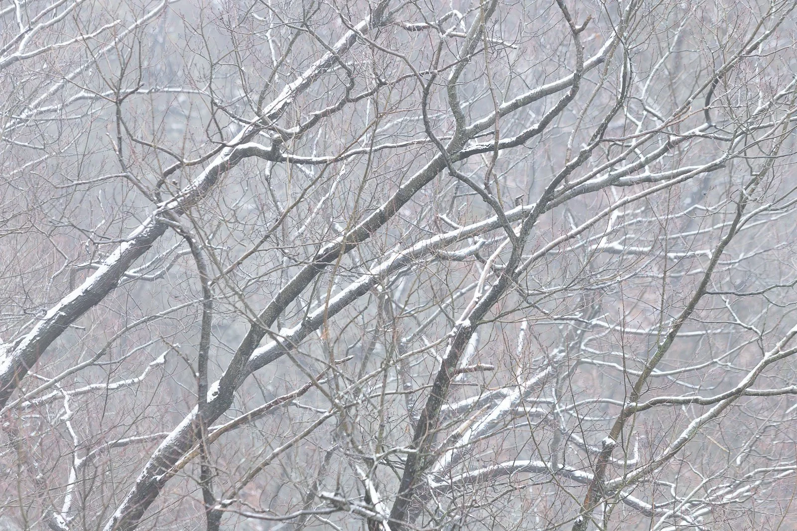 a-moment-in-the-gorge.jpg