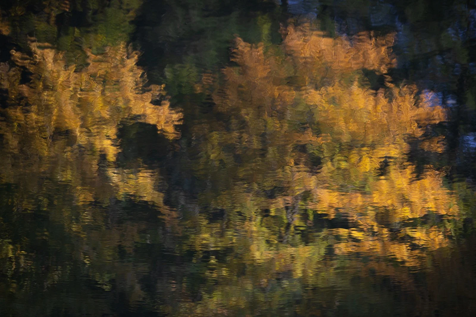reflections-of-fall.jpg