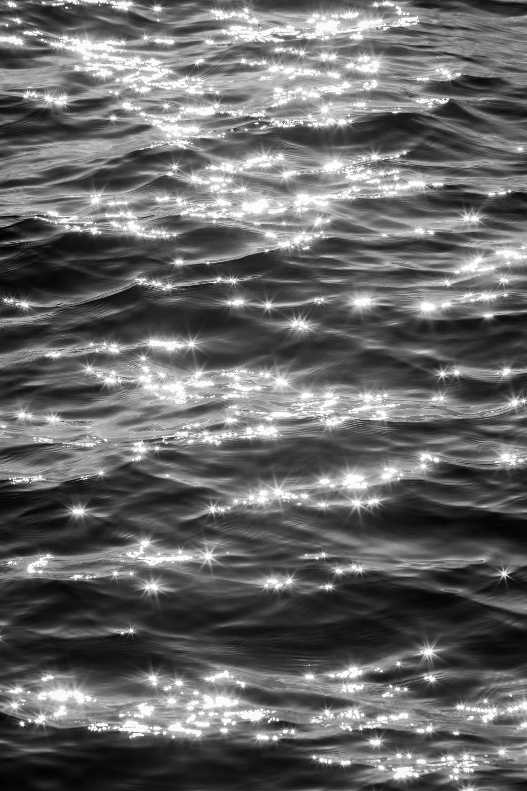 shimmering.jpg