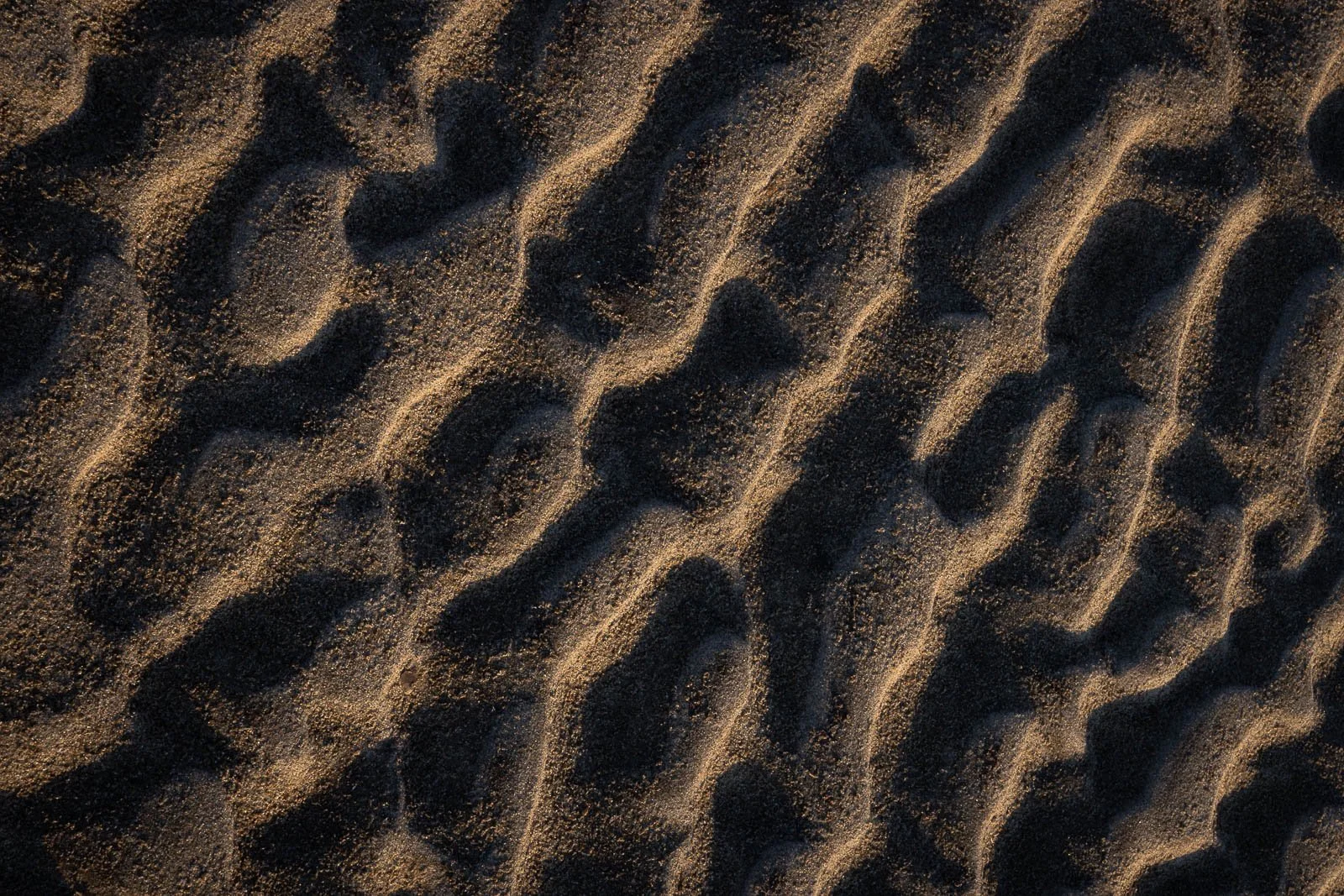 patterns-of-time-II.jpg