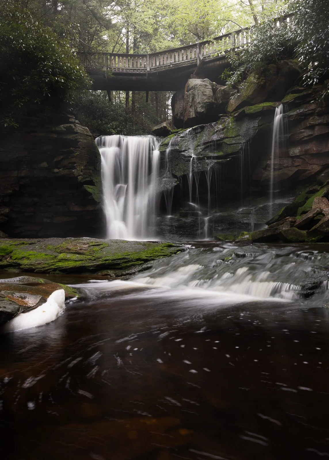 Elakala falls waterfall Backwater state park West Virginia
