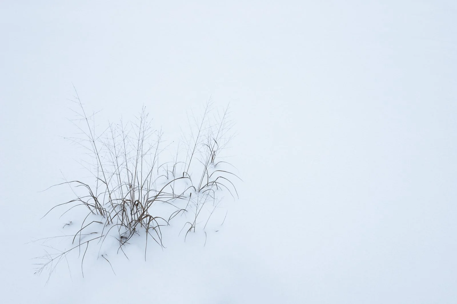 winter.jpg