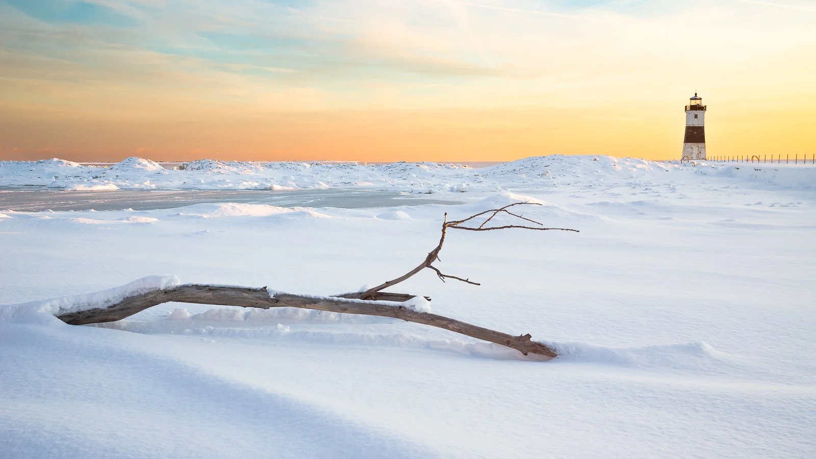 dead-of-winter-II.jpg