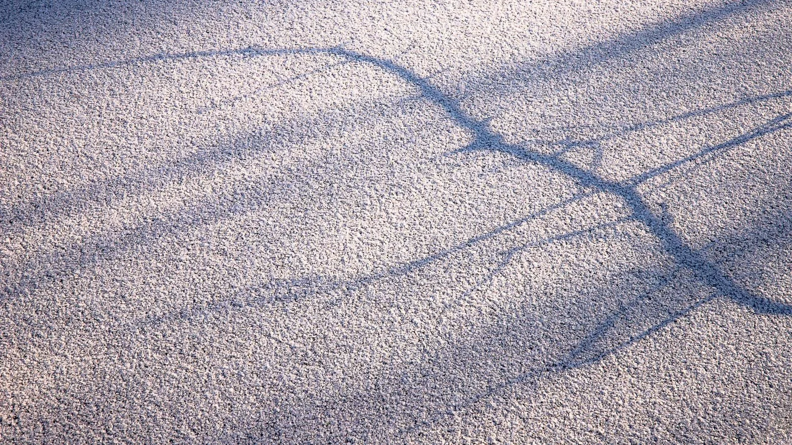 winter's-shadow.jpg