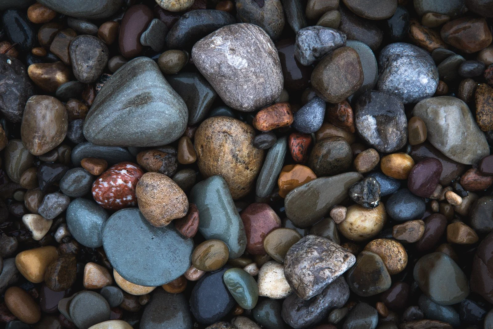 stonmed.jpg