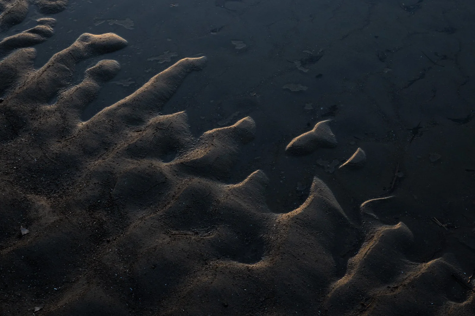 tide-pools-II.jpg