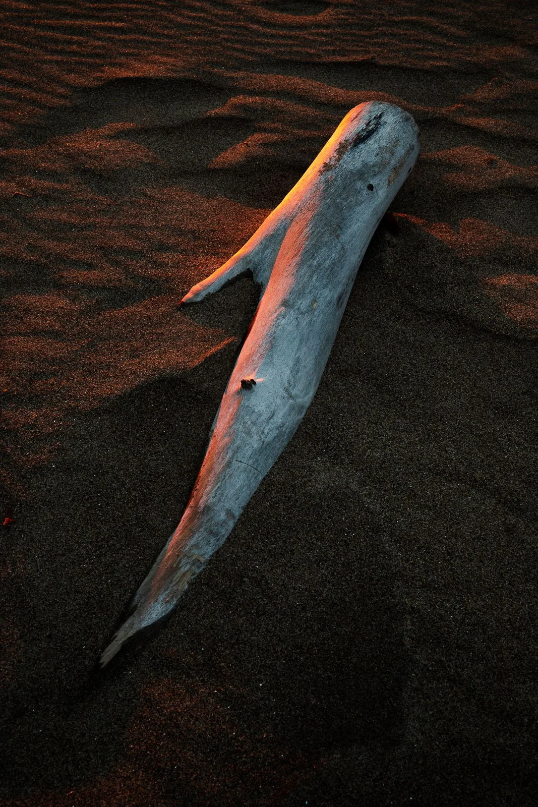 sands-of-time.jpg