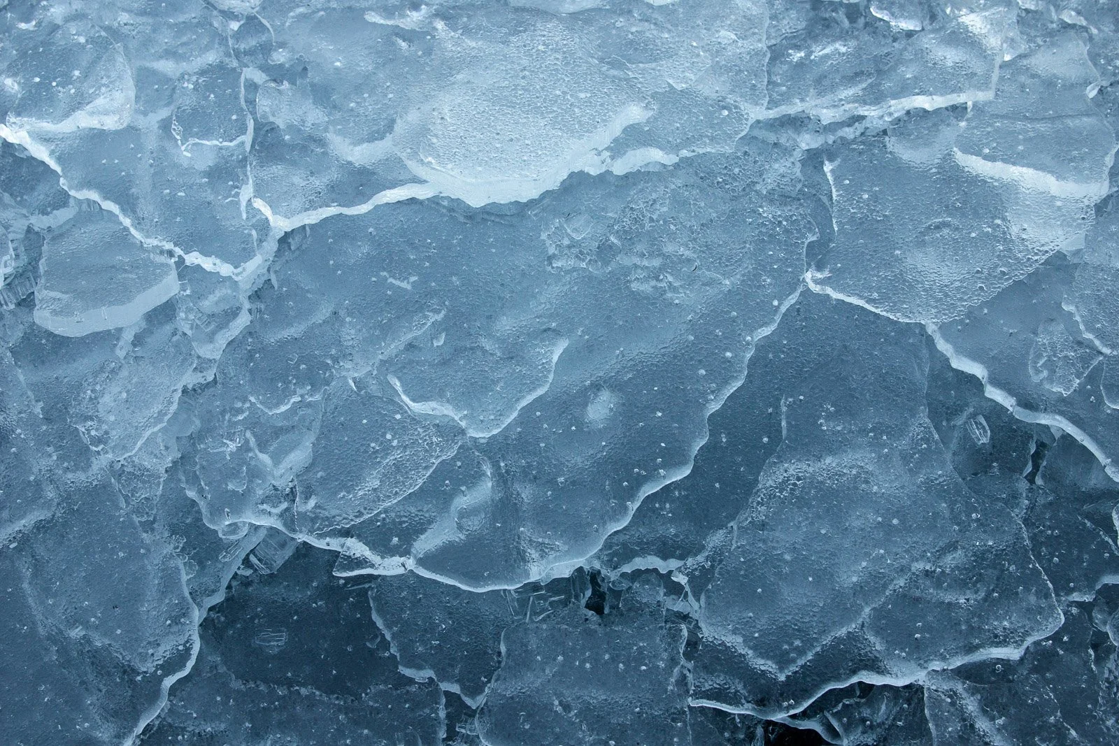 pieces-of-winter-III.jpg
