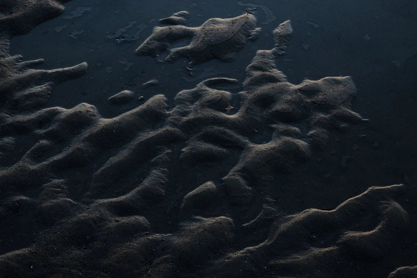 tide-pools.jpg